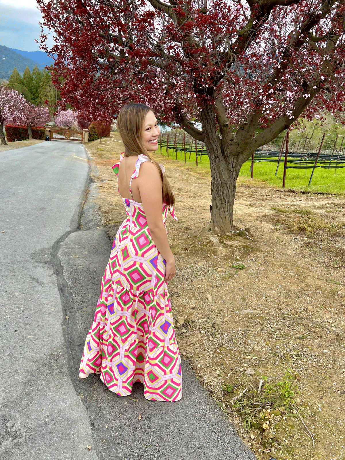 Medellin Maxi Dress